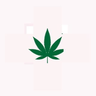 https://orlando-marijuana-doctor.com/wp-content/uploads/2021/02/Mariuhana-leaf-symbol-cross-marijuan-e1613761232716-320x320.png