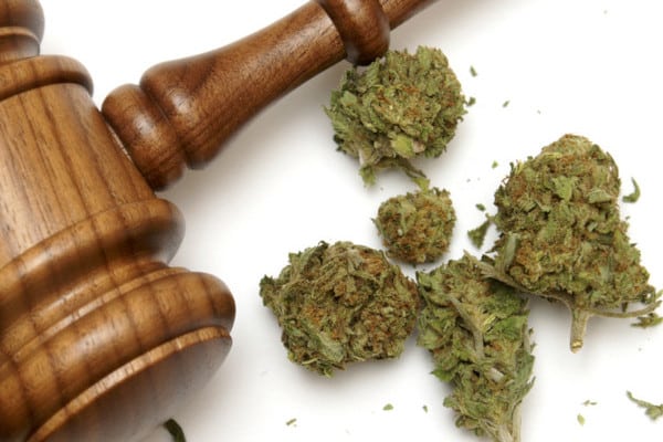 https://orlando-marijuana-doctor.com/wp-content/uploads/2021/02/lawlibrary400.jpg